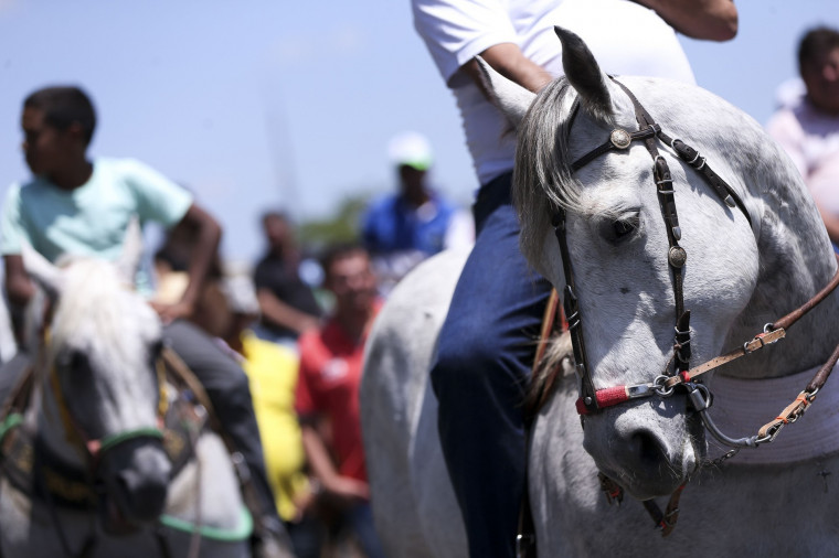 Prefeitura, PM e organizadores são notificados sobre cavalgada em Brasilândia neste domingo