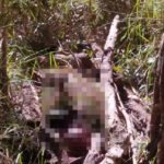 Em 48h, polícia desvenda crime e prende vaqueiro por matar vizinho após discussão sobre gado