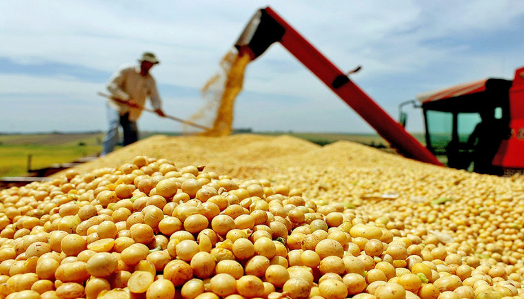 Tocantins é o maior produtor de grãos do Norte do Brasil, e o 2º em comparação ao Nordeste