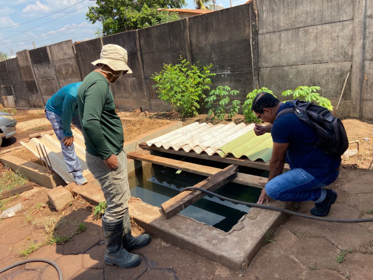 Saúde investiga presença de caramujo que causa doença barriga d'água em Colinas do Tocantins