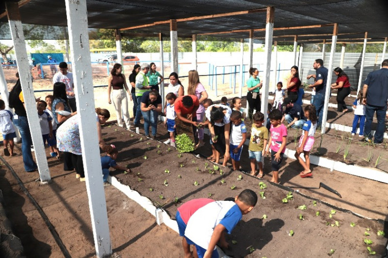 Crianças têm aula sobre alimentação saudável em horta comunitária de shopping em Araguaína