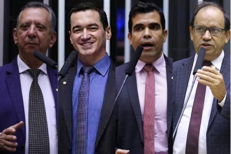 Quatro deputados federais do Tocantins têm nomes cotados para disputar prefeituras em 2024