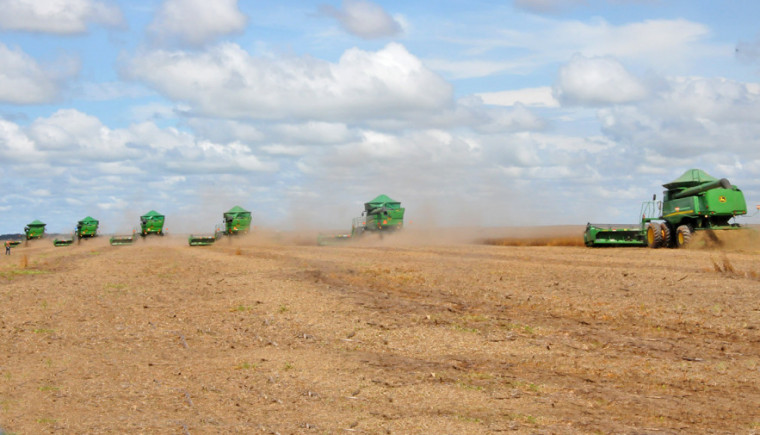 Puxado pelo agro, PIB do Tocantins tem 2º maior crescimento do país e atinge R$ 51 bilhões