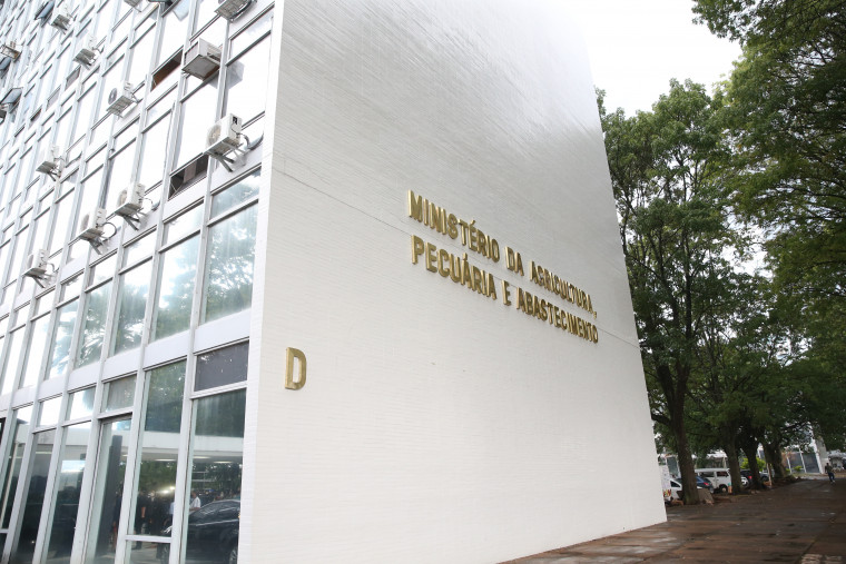 Seletivo do Ministério da Agricultura abre mais de 300 vagas no Pará, Goiás, DF e outros estados