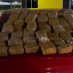 Mais de 50 quilos de haxixe são encontrados dentro de carro transportado por carreta cegonha