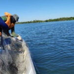 Publicadas portarias sobre piracema e pesca profissional nos rios do estado; veja o que é permitido