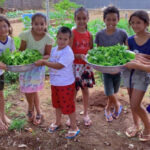 Escola transforma horta em laboratório de aprendizagem e conquista 3º lugar em prêmio estadual