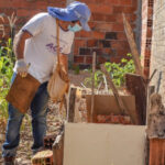 Casos de dengue caem 85% no Tocantins em 2023, mas aumentam os de zika e chikungunya