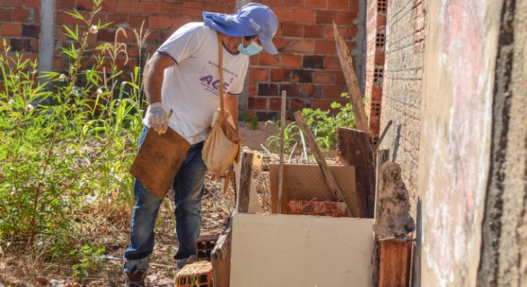 Casos de dengue caem 85% no Tocantins em 2023, mas aumentam os de zika e chikungunya