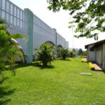 Mestrado gratuito em História das Populações Amazônicas oferta 18 vagas; aulas 50% online