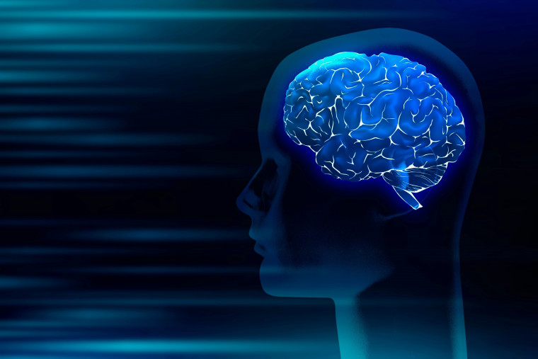 Araguaína terá curso inédito de neurociência e inteligência artificial aplicada às ciências jurídicas