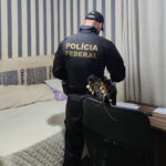 Operação Boi de Papel apura fraudes em financiamentos do Basa e bloqueia R$ 3,9 milhões no Tocantins