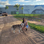 Shopping de Araguaína permitirá entrada de animais de estimação; inauguração será em 18/9
