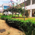 Projeto de inclusão do IFTO abre mais de 500 vagas para 18 cursos gratuitos; inscrições abertas