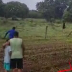 Criança de 11 anos raptada por homem em praça pública é abandonada às margens de rodovia