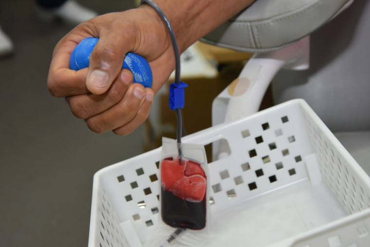 Tocantins bate meta de doadores de medula óssea em 2024 e tem 60 mil pessoas cadastradas