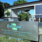 Concurso da Embrapa oferece 1.027 vagas com salário de até R$ 12,8 mil; edital publicado