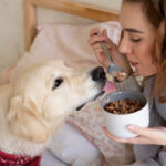 Saiba por que o chocolate é perigoso para os cães e conheça os sintomas de intoxicação