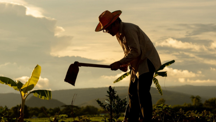 Aposentadoria do trabalhador rural e cooperativas: conheça as novas regras para 2025