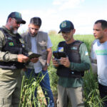 Governo do Tocantins registra queda de 43,4% no desmatamento em cinco meses