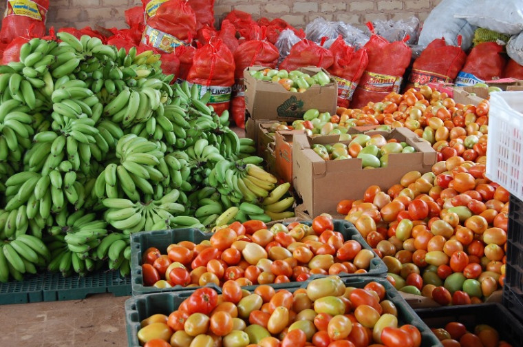 Pequenos produtores podem vender alimentos à Prefeitura de Araguaína; programa prevê R$ 420 mil