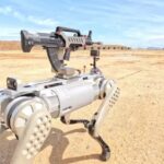 Militares da China exibem cão-robô como arma de guerra