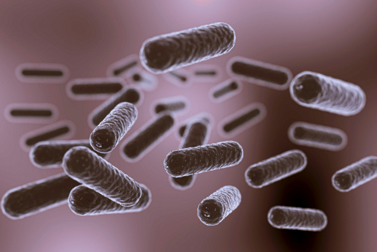 Tudo sobre a gonorreia: sintomas, tratamentos e como prevenir a infecção