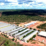 Maior produtor de ovos do Tocantins ganha incentivos fiscais e investirá mais de R$ 370 milhões