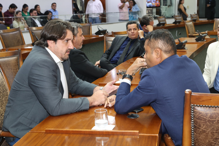 Três projetos que tratam da causa animal tramitam na Assembleia Legislativa do Tocantins