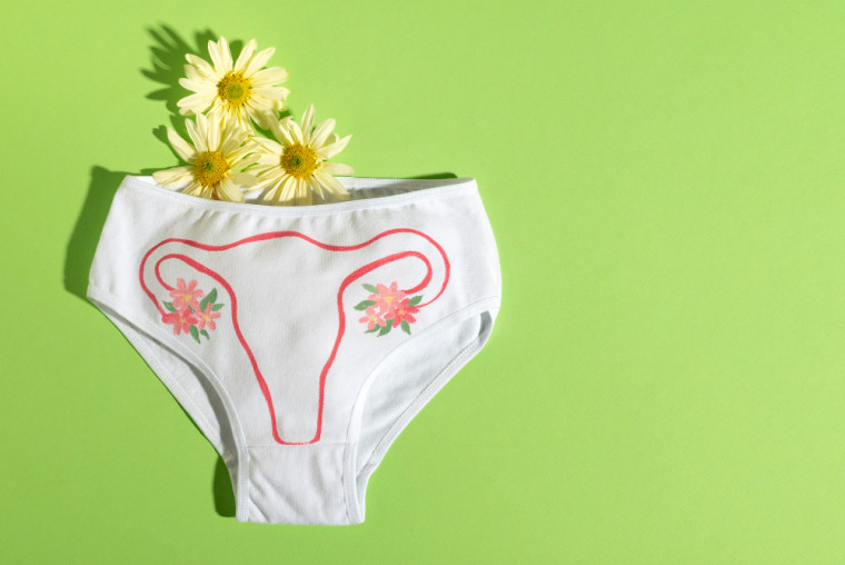 Mioma Uterino: sintomas, causas e tratamentos para aliviar o desconforto e proteger a fertilidade