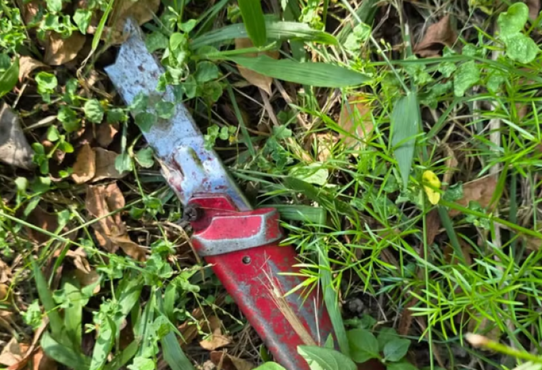 Homem em situação de rua é encontrado sem pênis e coração; idosa diz que comeu os órgãos