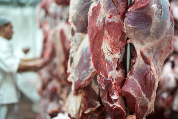 Exportação de carne bovina do Brasil aos EUA dispara 498% apesar das tarifas de Trump