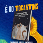 Livro araguainense figura no Top 7 dos recomendados pela Secretaria de Estado da Cultura