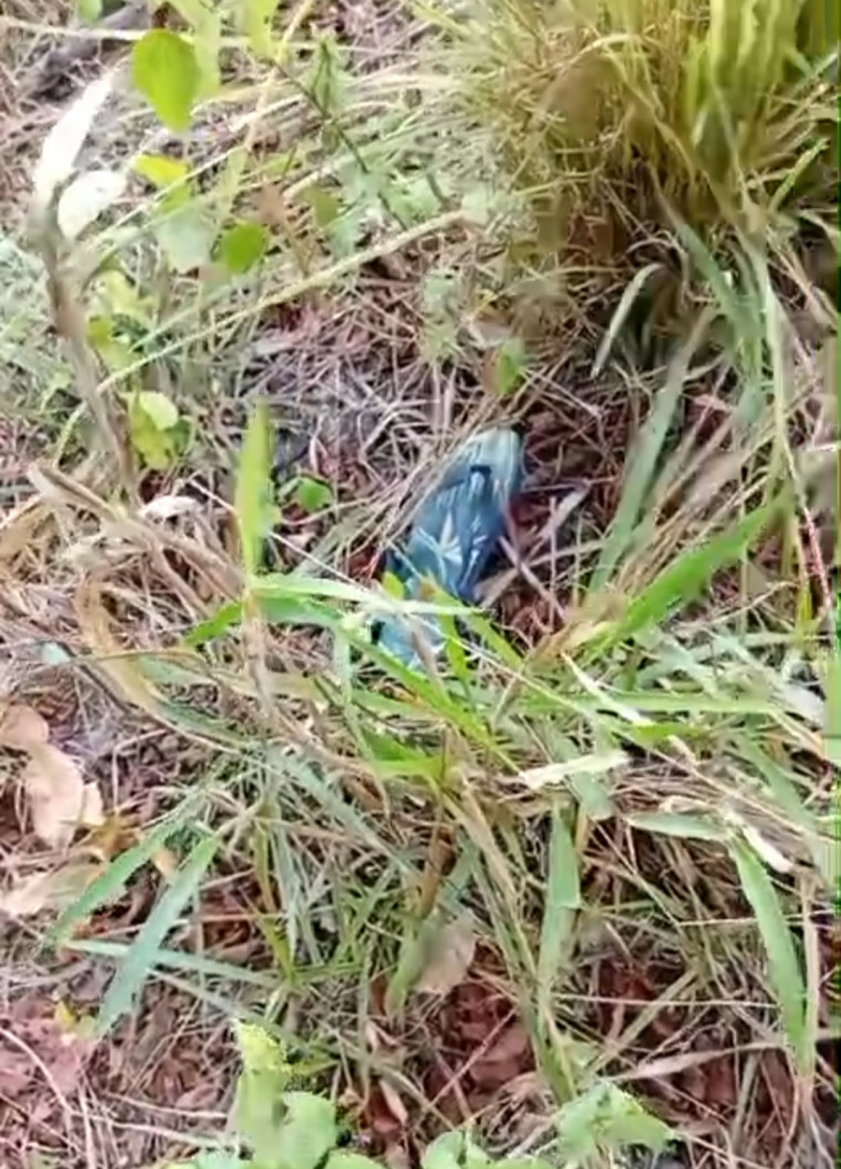 Após 8 dias, idoso desaparecido é encontrado morto pelo filho a poucos metros de casa