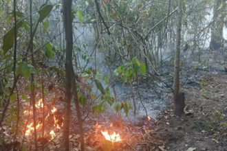 Cerrado em chamas: quilombo luta contra incêndio há 6 dias sem nenhum apoio no Tocantins