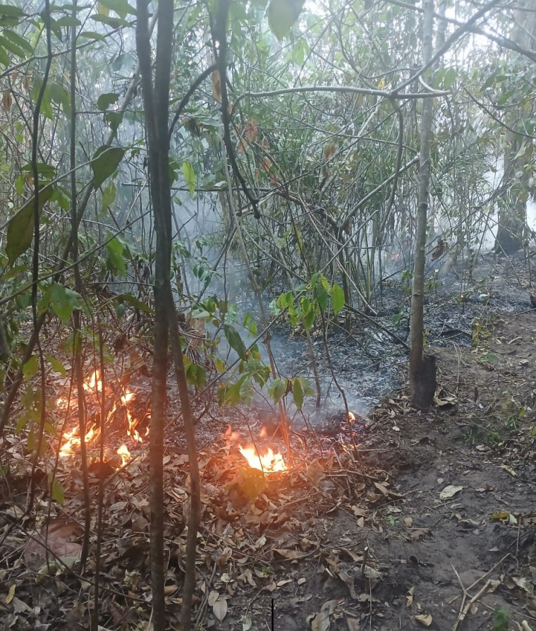 Cerrado em chamas: quilombo luta contra incêndio há 6 dias sem nenhum apoio no Tocantins