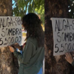 Palmas, capital da especulação: artista escancara alto custo da moradia e falta de árvores