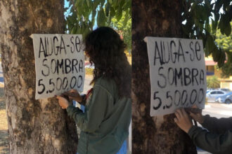 Palmas, capital da especulação: artista escancara alto custo da moradia e falta de árvores