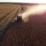 Produtores do Tocantins entram em nova safra sob pressão de custos e desafios logísticos