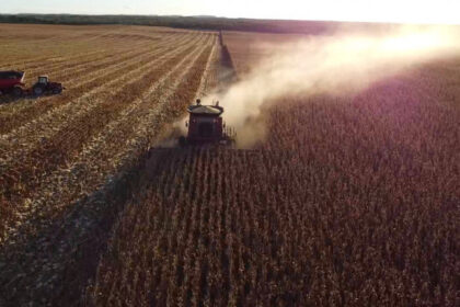 Produtores do Tocantins entram em nova safra sob pressão de custos e desafios logísticos