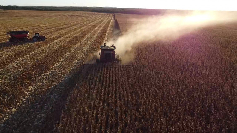 Produtores do Tocantins entram em nova safra sob pressão de custos e desafios logísticos
