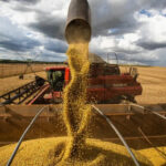 Agro bate recordes e Tocantins segue como maior produtor de grãos do Norte do Brasil