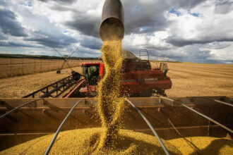 Agro bate recordes e Tocantins segue como maior produtor de grãos do Norte do Brasil