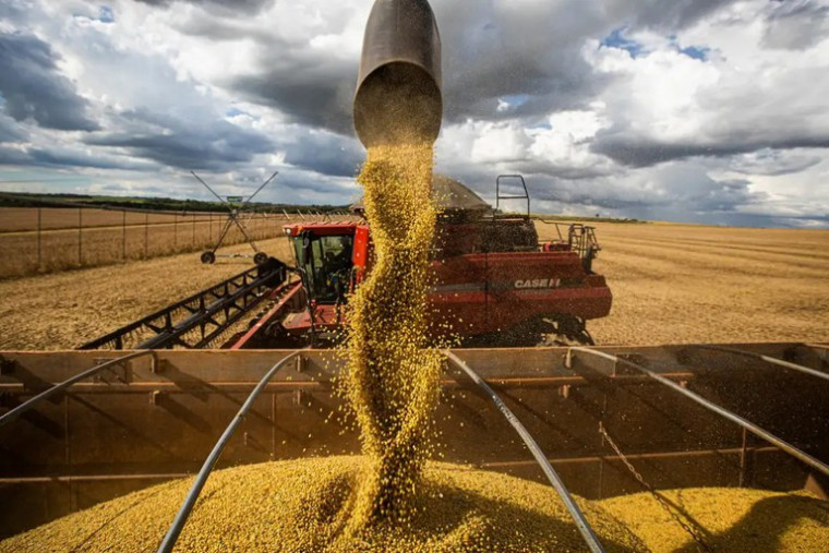 Agro bate recordes e Tocantins segue como maior produtor de grãos do Norte do Brasil