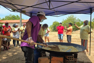 Rica em nutrientes, farinha de Jatobá valoriza o Cerrado e gera renda em comunidades