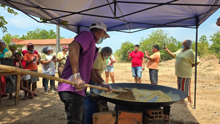 Rica em nutrientes, farinha de Jatobá valoriza o Cerrado e gera renda em comunidades