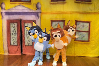 Shopping de Araguaína completa 1 ano em outubro e anuncia show da turma da Bluey
