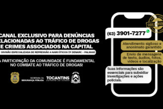 Denarc de Palmas cria canal sigiloso de denúncias e amplia combate ao tráfico de drogas